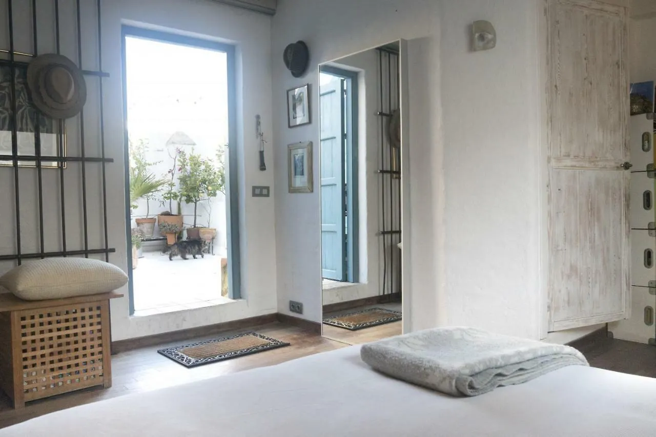 Amazing Penthouse Cadiz Apartment