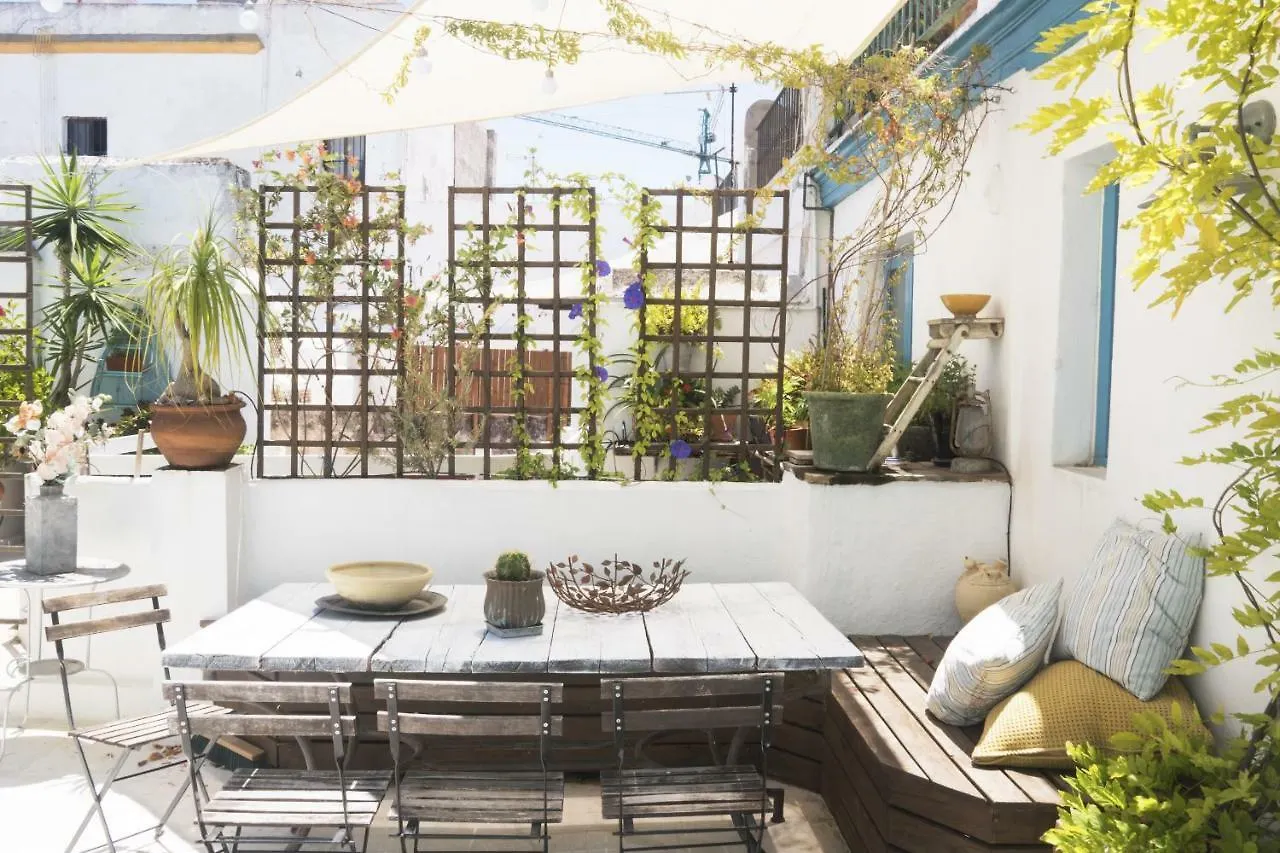 Amazing Penthouse Cadiz Apartment