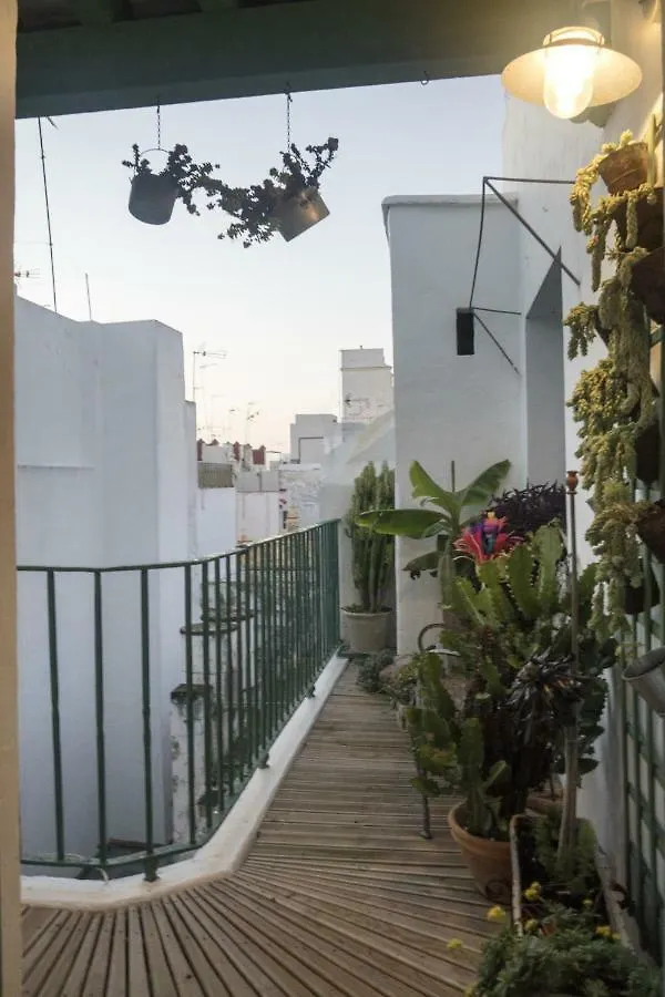 Amazing Penthouse Cadiz Apartment