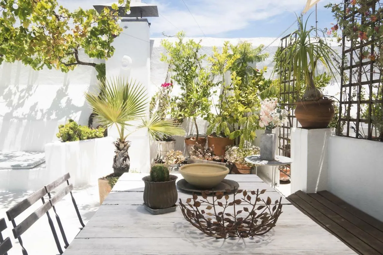 Amazing Penthouse Cadiz Apartment 0*,  Spain