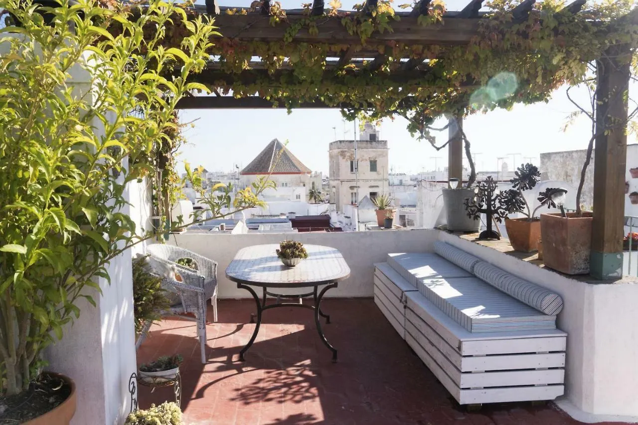 Amazing Penthouse Cadiz Apartment