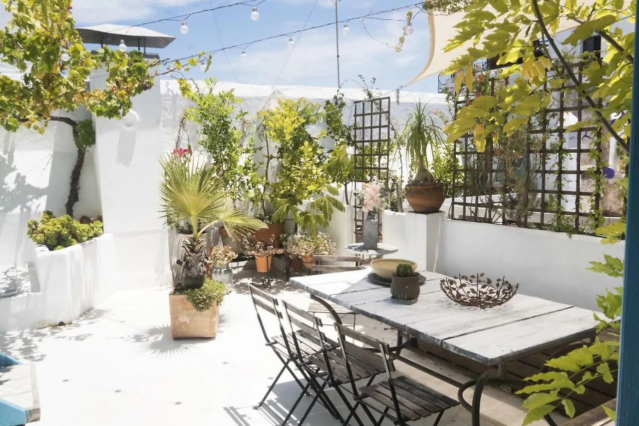 Amazing Penthouse Cadiz Apartment